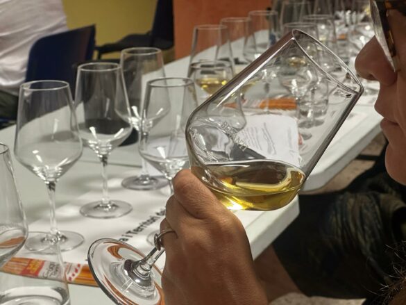 VINI: sull’Etna è in arrivo VINIMILO 2024, evento per wine expert e wine lovers, fra masterclass e festa di piazza